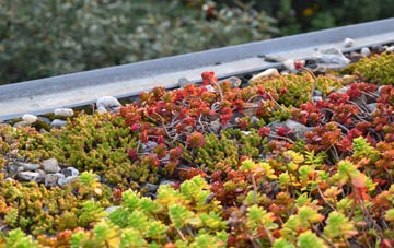 the cost of Takeley Street green roof installation
