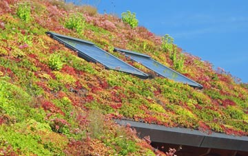 Takeley Street living roof systems